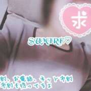 ヒメ日記 2025/11/19 07:07 投稿 すみれ 熟女の風俗最終章 本厚木店