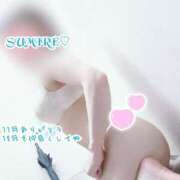 ヒメ日記 2025/11/30 07:01 投稿 すみれ 熟女の風俗最終章 本厚木店