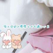 ヒメ日記 2025/12/15 06:51 投稿 すみれ 熟女の風俗最終章 本厚木店