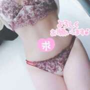 ヒメ日記 2026/01/14 06:51 投稿 すみれ 熟女の風俗最終章 本厚木店