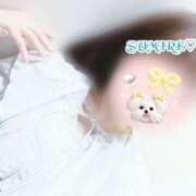 ヒメ日記 2026/03/31 06:21 投稿 すみれ 熟女の風俗最終章 本厚木店