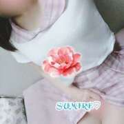 ヒメ日記 2026/04/01 06:21 投稿 すみれ 熟女の風俗最終章 本厚木店