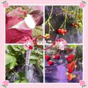 ヒメ日記 2025/05/05 00:46 投稿 ましろ club さくら日本橋店