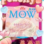 ヒメ日記 2025/06/18 19:56 投稿 ましろ club さくら日本橋店