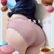 ヒメ日記 2025/11/26 16:36 投稿 ましろ club さくら日本橋店