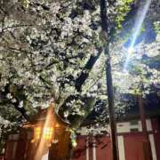 ヒメ日記 2025/04/07 19:57 投稿 つばさ 群馬伊勢崎ちゃんこ