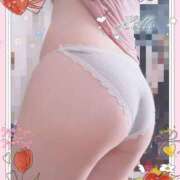 ヒメ日記 2025/08/26 13:37 投稿 ましろ 奥様さくら日本橋店