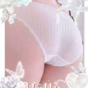 ヒメ日記 2025/09/02 16:07 投稿 ましろ 奥様さくら日本橋店