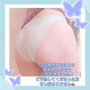 ヒメ日記 2025/09/02 16:46 投稿 ましろ 奥様さくら日本橋店