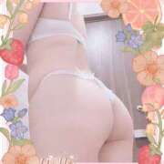 ヒメ日記 2025/09/24 16:07 投稿 ましろ 奥様さくら日本橋店