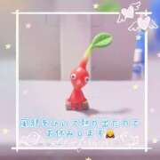 ヒメ日記 2025/11/10 16:16 投稿 ましろ 奥様さくら日本橋店