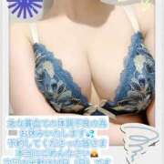 ましろ ましろ（clubさくら日本橋店） 奥様さくら日本橋店