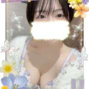 ヒメ日記 2026/02/06 23:26 投稿 ましろ 奥様さくら日本橋店