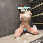 ヒメ日記 2025/11/07 13:30 投稿 びおら ミセス ファースト -お姉さん・若妻専門店-