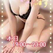 ヒメ日記 2025/02/13 07:48 投稿 藤田 麻由美 こあくまな熟女たち浜松店（KOAKUMAグループ）