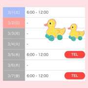 ヒメ日記 2025/02/28 22:16 投稿 アスカ ラブコレクション