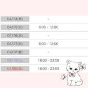 ヒメ日記 2025/04/12 12:01 投稿 アスカ ラブコレクション