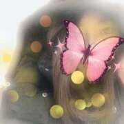 ヒメ日記 2025/01/17 08:48 投稿 しずく モアグループ宇都宮人妻花壇