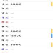 ヒメ日記 2025/04/08 17:13 投稿 ヒヨリ PLATINUM