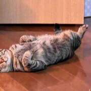 ヒメ日記 2025/07/19 23:34 投稿 ののか 金瓶梅(きんぺいぱい)(雄琴)