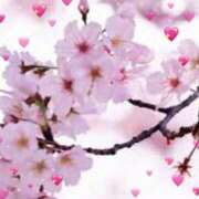 ヒメ日記 2025/04/09 14:06 投稿 ゆきこ 熟女の風俗アウトレット大垣安八羽島店