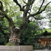 ゆきこ おはよう 熟女の風俗アウトレット大垣安八羽島店