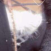 ヒメ日記 2026/01/31 23:12 投稿 かのん ホワイトベル