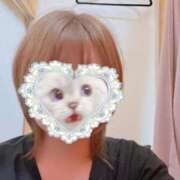 ヒメ日記 2026/04/16 20:18 投稿 れあ ホテピン