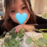 ヒメ日記 2025/01/15 19:26 投稿 リム 姫路ラビット