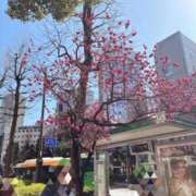 ヒメ日記 2025/03/11 10:44 投稿 風間 十恋人～トレンド～