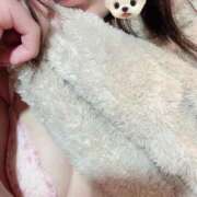 ヒメ日記 2025/02/26 21:47 投稿 ひかり [優良人妻店]セレブスタイル（山口～防府～萩）