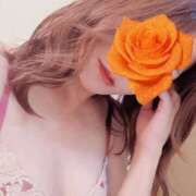 ヒメ日記 2025/09/15 00:04 投稿 ひかり [優良人妻店]セレブスタイル（山口～防府～萩）