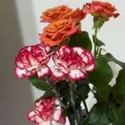 ひかり いつも [優良人妻店]セレブスタイル（山口～防府～萩）