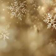 ヒメ日記 2025/12/30 19:48 投稿 ななせ 豊満熟女