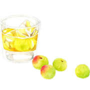 ヒメ日記 2025/05/24 23:02 投稿 一ノ瀬　さえ 魅惑の官能アロマエステ　Eureka！八王子 ～エウレカ！～