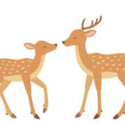 ヒメ日記 2025/07/10 21:22 投稿 一ノ瀬　さえ 魅惑の官能アロマエステ　Eureka！八王子 ～エウレカ！～