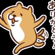 ヒメ日記 2025/11/24 02:45 投稿 一ノ瀬　さえ 魅惑の官能アロマエステ　Eureka！八王子 ～エウレカ！～