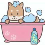 ヒメ日記 2026/07/11 20:29 投稿 一ノ瀬　さえ 魅惑の官能アロマエステ　Eureka！八王子 ～エウレカ！～