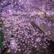 ヒメ日記 2025/03/22 12:31 投稿 一ノ瀬　さえ Eureka！EGOIST～エゴイスト～-美とエロスの饗宴