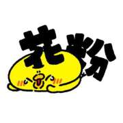 ヒメ日記 2025/04/18 20:52 投稿 一ノ瀬　さえ Eureka！EGOIST～エゴイスト～-美とエロスの饗宴