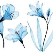 ヒメ日記 2025/04/25 18:47 投稿 一ノ瀬　さえ Eureka！EGOIST～エゴイスト～-美とエロスの饗宴