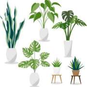 ヒメ日記 2025/06/29 23:18 投稿 一ノ瀬　さえ Eureka！EGOIST～エゴイスト～-美とエロスの饗宴