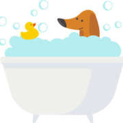 ヒメ日記 2026/01/24 20:03 投稿 一ノ瀬　さえ Eureka！EGOIST～エゴイスト～-美とエロスの饗宴