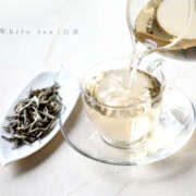 ヒメ日記 2026/01/29 20:46 投稿 一ノ瀬　さえ Eureka！EGOIST～エゴイスト～-美とエロスの饗宴