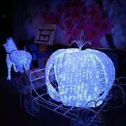 ヒメ日記 2025/01/17 19:34 投稿 もなこ 熟女の風俗最終章 新潟店