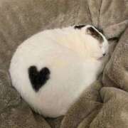 ヒメ日記 2025/01/18 14:44 投稿 もなこ 熟女の風俗最終章 新潟店