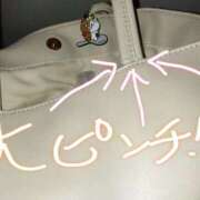 ヒメ日記 2025/04/25 18:05 投稿 もなこ 熟女の風俗最終章 新潟店