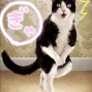 ヒメ日記 2025/05/03 00:58 投稿 もなこ 熟女の風俗最終章 新潟店