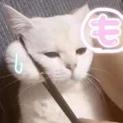 ヒメ日記 2025/05/20 20:04 投稿 もなこ 熟女の風俗最終章 新潟店