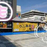 ヒメ日記 2025/06/24 19:49 投稿 もなこ 熟女の風俗最終章 新潟店